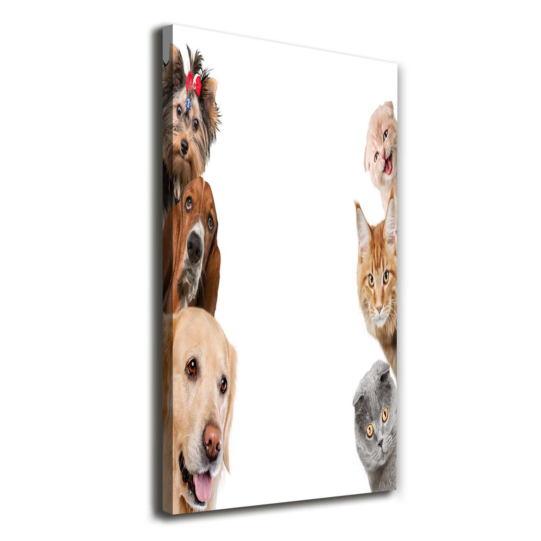 Hunde und Katzen - Kunstdruck auf Leinwand - Wrapped Canvas