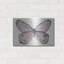 Art mural en métal «Butterfly 5» par Stellar Design Studio Luxe, 16 po x 12 po-1951507192