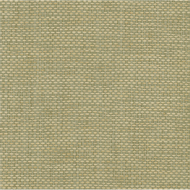 Vazquez Grass Cloth Roll