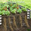Lit de jardin surélevé en métal 8X4x1 Ft-2P - Boîte à fleurs d'extérieur pour légumes, herbes et plantes succulentes