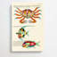 East Indies Fish & Crab Illustrations XXXIX by Torii Kiyonaga - Wrapped Canvas Painting-55342396