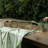 Loon Peak® Brass Nested Set of 3 Trough Trays Metal