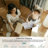 Clotilde Vintage Machine Washable Area Rugs Perfect for Living Room, Dining Room, Bedroom-315173929