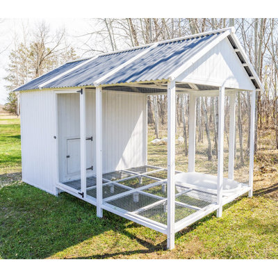 Zylina Modern Duck Barn