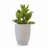 High quality ceramic flowerpot-369506194