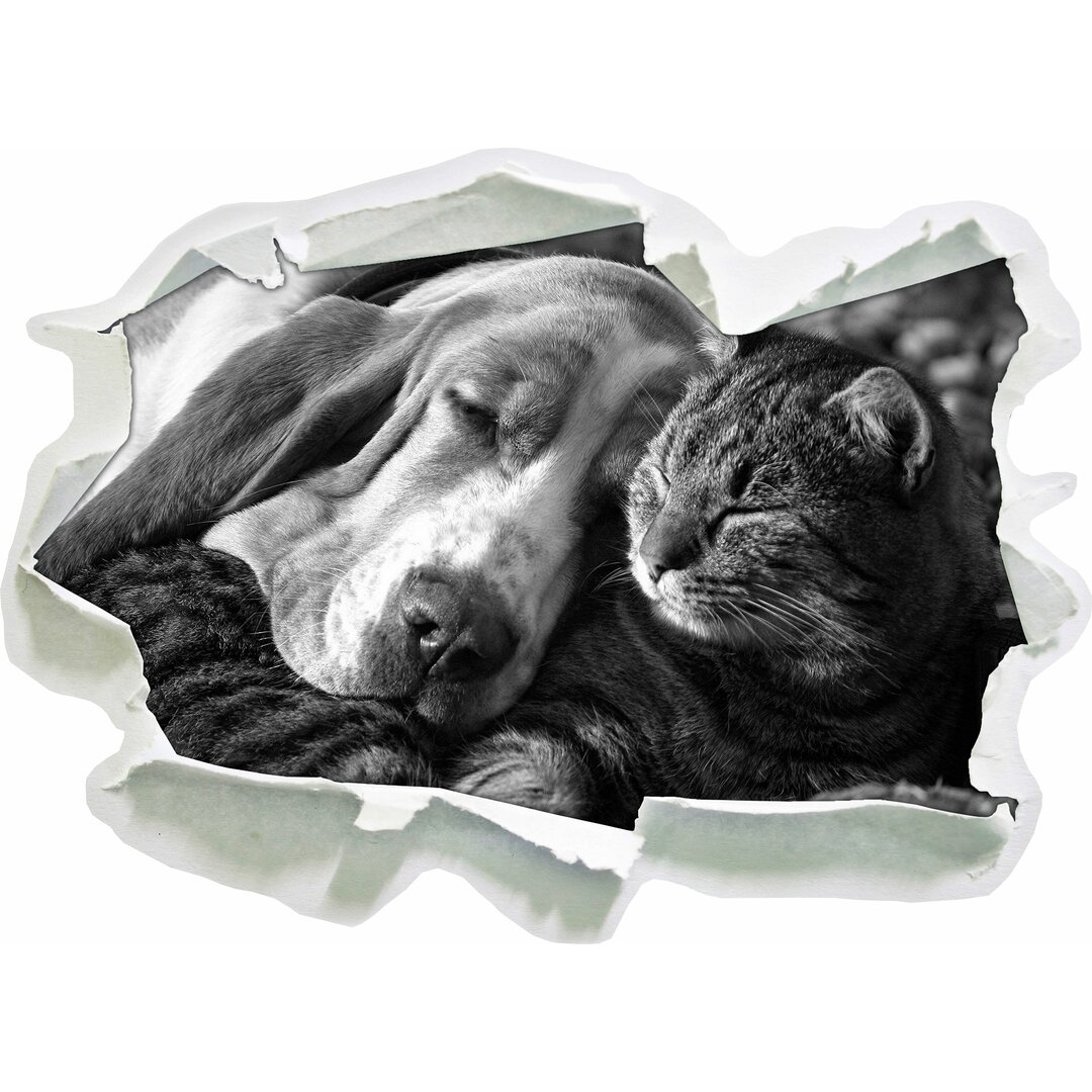 Wandtattoo Katze und Hund kuschelnd