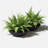 Pure Series Lane Bowl Planter-153289822-153302373-222975130