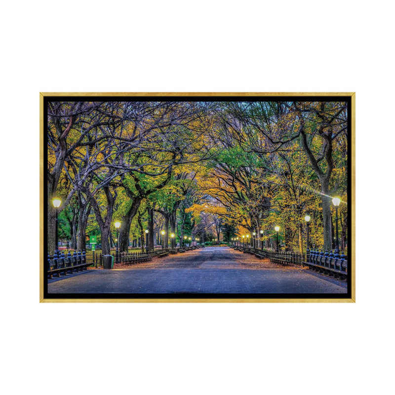 «Central Park Night» par David Gardiner - reproduction de photo, H 26 po x l 40 po x 1,5 po, Toile encadrée d'or