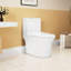 Toilette en céramique de 15,55 po de hauteur, chasse d'eau 1,1 / 1,6, blanc, siège à fermeture douce, et une chasse d'eau blanche, approuvée