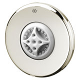 DXV Transitional Multi Function Adjustable Shower Head