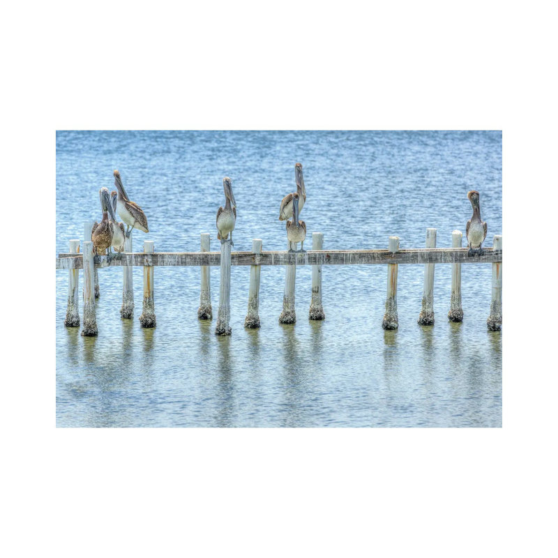 Pelican Pier by David Gardiner - Wrapped Canvas Print, 45.72cm H x 66.04cm W