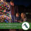 6x4FT-70 mini lumières à DEL multicolores de qualité commerciale imperméables pour la décoration des Fêtes, décorations de Noël-149047668