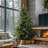 Fraser Hill Farm 12 ft. Woodside Pine Artificial Prelit Christmas Tree with Incandescent Smart Lights and Stand-178447033