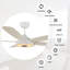 Ventilateur de plafond standard intelligent à 5 pales Gatha avec télécommande et ensemble d'éclairage inclus-581072876-581072871-581072864