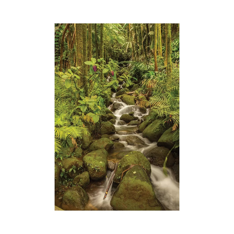 USA, Hawaii, Hawaii Tropical Botanical Garden. Tropical Stream Cascade Over Rocks. by Jaynes Gallery - Wrapped Canvas Print