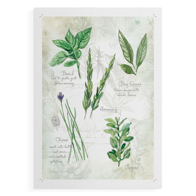 Fresh Herbs I - Impression sur toile seulement - NON-CADRE, H 18 po x l 12 po