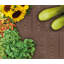 Cerisa 20cm L x 29.5cm W Plastic Interlocking Deck Tile-187683616