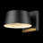 Alassane Wall Light