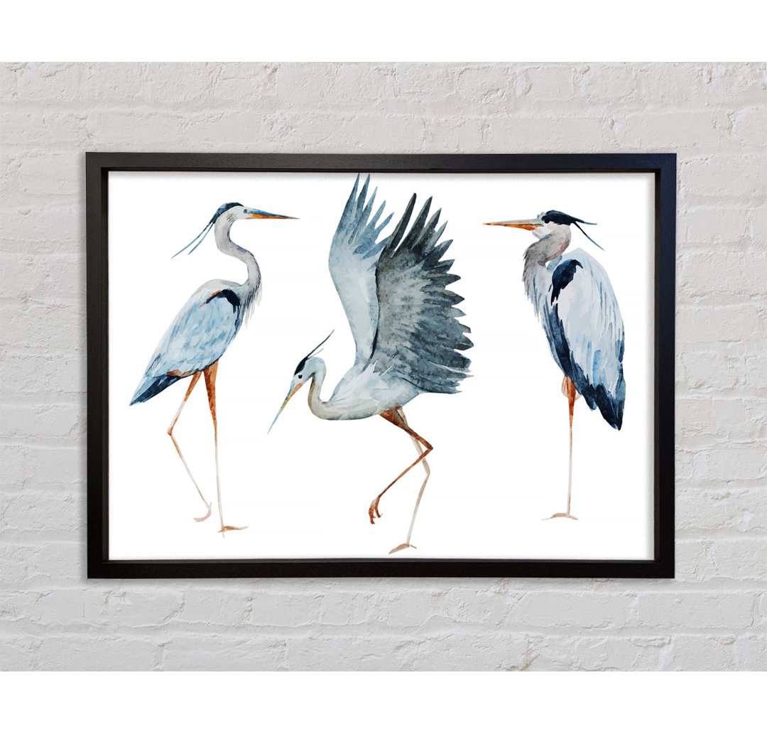 Heron Trio - Einzelner Bilderrahmen Kunstdrucke auf Leinwand