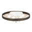 6 - Light Flush Mount