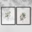 Impression florale rétro vintage XXII - ensemble de 2 estampes-715148016-715148017