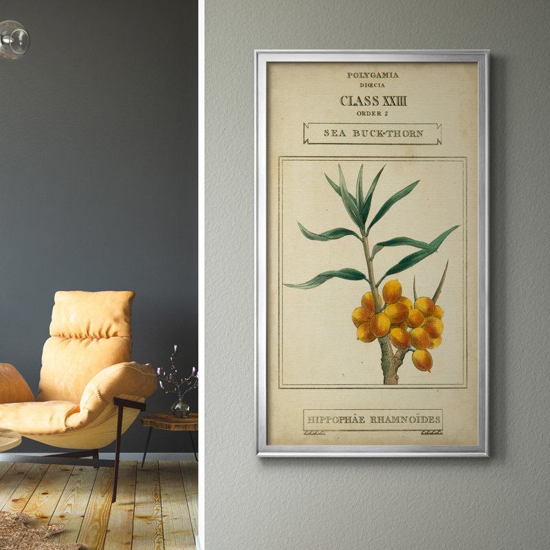 Linnaean Botany III - Peinture sur toile encadrée, Argent, H 22,5 po x l 42,5 po x P 1,5 po
