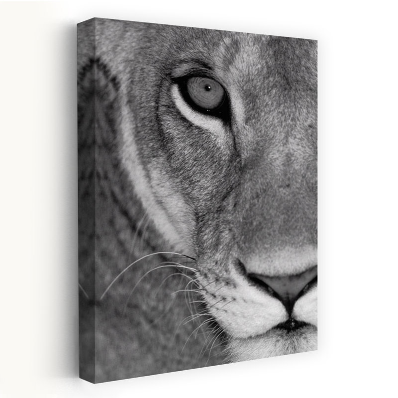Lionne, gros plan, Tanzanie, Afrique, art contemporain, H 60 po x l 40 po