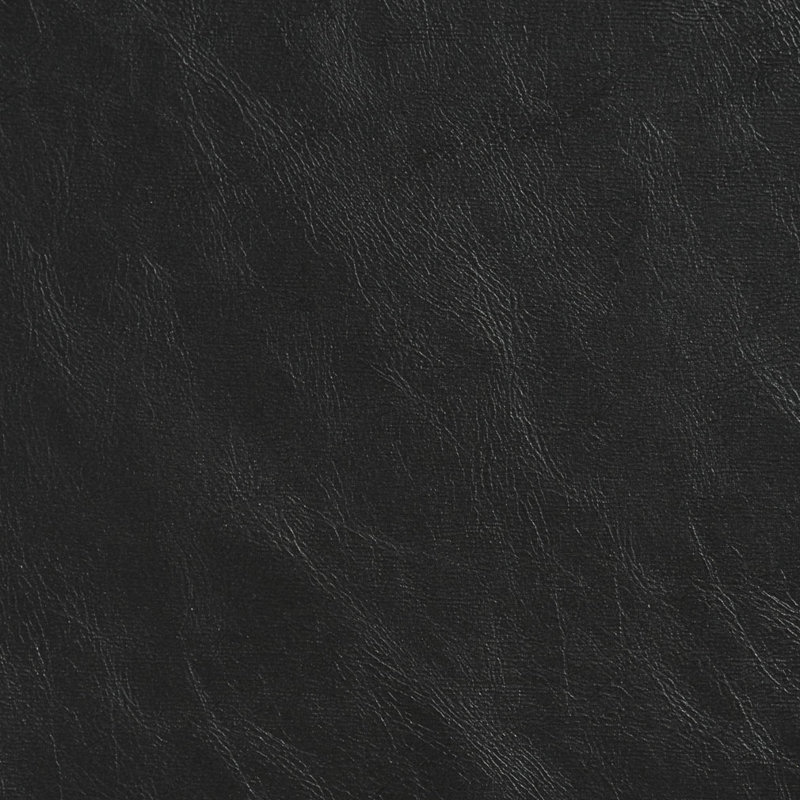 Emu lisse, Gris foncé