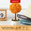 Centre de table Mossever en pot-1970813641