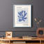 Matisse CCL XXIV, reproduction encadrée - bois massif-2108251462-2108251467