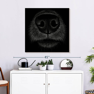 Brampt Dog Snout