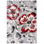 Tapis gris / rouge Rooshi-33381144