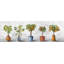 « photo lot de plantes »-impression sur toile tendue-1013453253