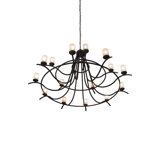 Octavia 15 - Light Chandelier