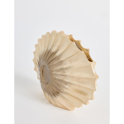 Natural Driftwood Tone Nautilus Shell Accent Sculpture
