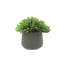 Rockridge Faux Succulent Plant in Fiberstone Pot-1488861543