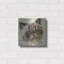 «Persian Cat 2» par Carolee Vitalett-101657835