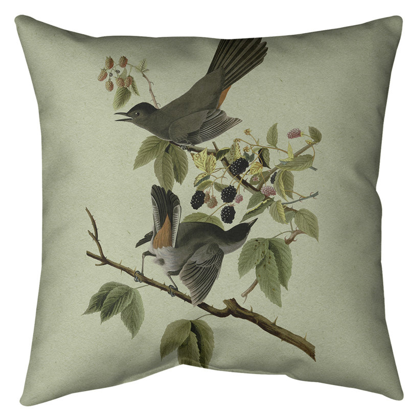 Coussin de sol pour chat avec oiseau John James Audubon-standard, 36 po x 36 po, Vert