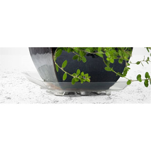 Saucer Plant Stand