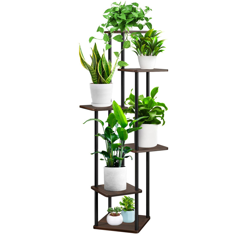 Support pour plante à 6 niveaux en métal d'intérieur, Espresso / Noir