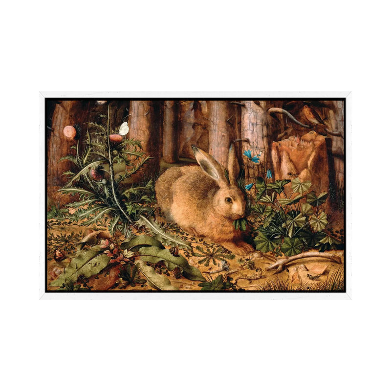 A Hare In The Forest, C. 1585 by Hans Hoffmann - Painting on Canvas, 45.72cm H x 66.04cm W x 3.81cm D, White Framed
