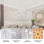 Dirksen 8 - Light Dimmable Classic / Traditional Chandelier-813467270