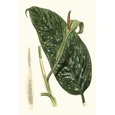 Grand Foliage I - Wrapped Canvas Painting