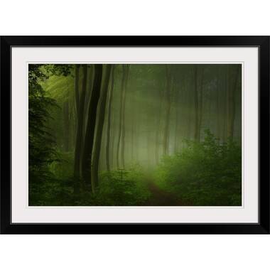 Straub Forest Morning by Norbert Maier - Photograph Print
