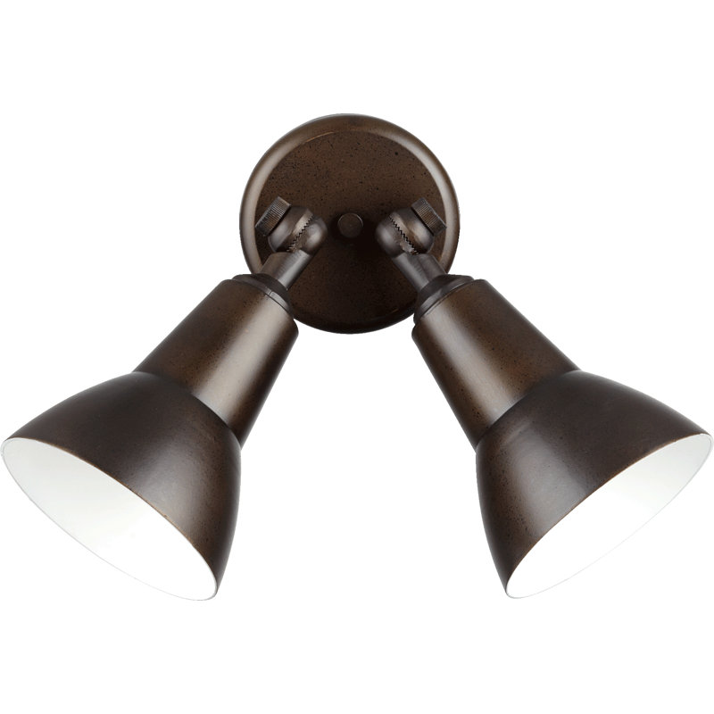 Balmorhea Spot Light, Oiled Bronze