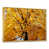 Gold Floater Framed