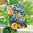 Oiseaux verts/jaunes/bleus