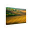 «Fields» par Krzysztof Browko, reproduction d'art sur toile tendue-550870835