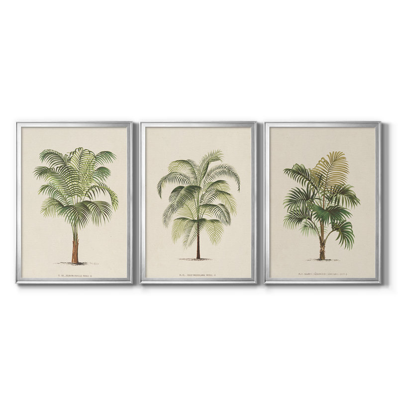 Les Palmiers II - Toile tendue avec châssis sur mesure - 3 pièces, H 19 po x l 45 po, Argent argent