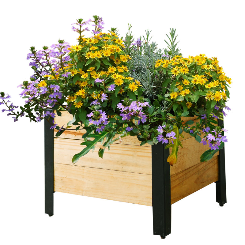 Lubaba Wood Raised Garden Bed, Light Brown
